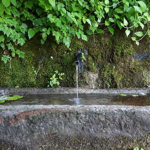 Pfarre Antiesenhofen