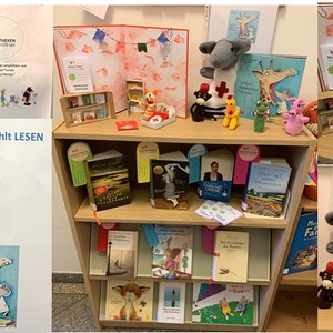 Das Leseglücks-Regal