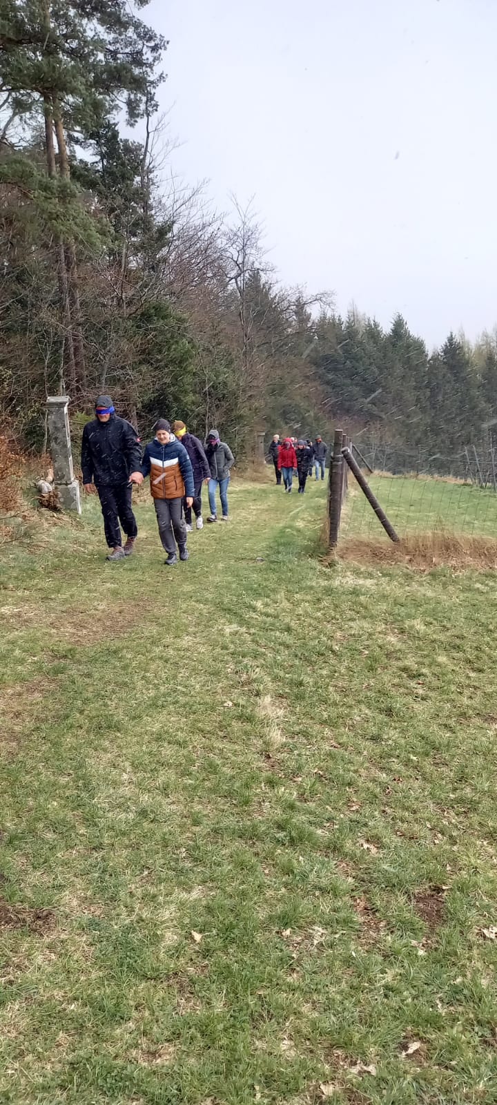 Firmlings-Patenwanderung