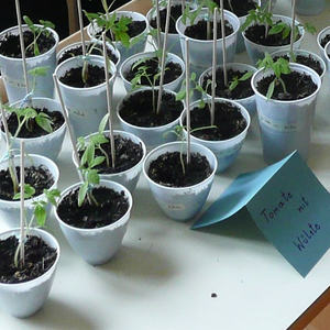 Kindergarten Ostermarkt