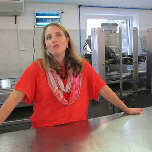 Pfarre Neumarkt im Mühlkreis