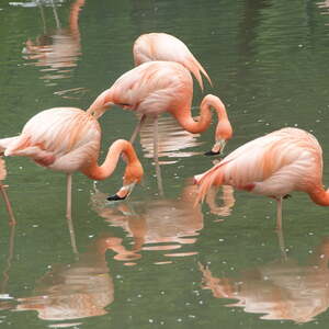 Kinderausflug Schmiding
