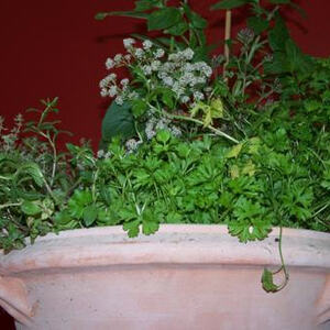 Vortrag von Pater Johannes Pausch