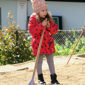 Blätter fallen von den Bäumen