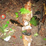 Schulanfängerausflug 