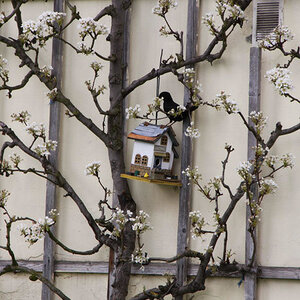 Erstkommunion am 17. April 2016