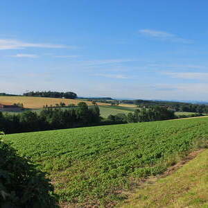 Seniorenausflug nach Adlwang