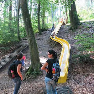Naturerlebnisweg Pfarrwald Vöcklabruck