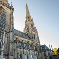 Nach der Vesper wurde auf dem Domplatz weitergefeiert. Viele nutzen die Gelegenheit, um bei Speis und Trank mit dem Jubilar und miteinander ins Gespräch zu kommen.