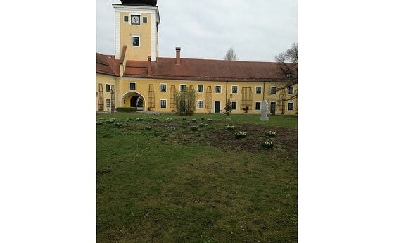 Baumpflanzung Schlosshof Puchheim / © Pfarre Maria Puchheim Baumpflanzung Schlosshof Puchheim