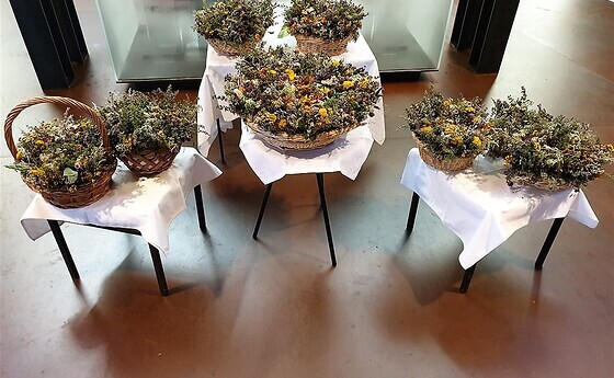 Maria Himmelfahrt 2023