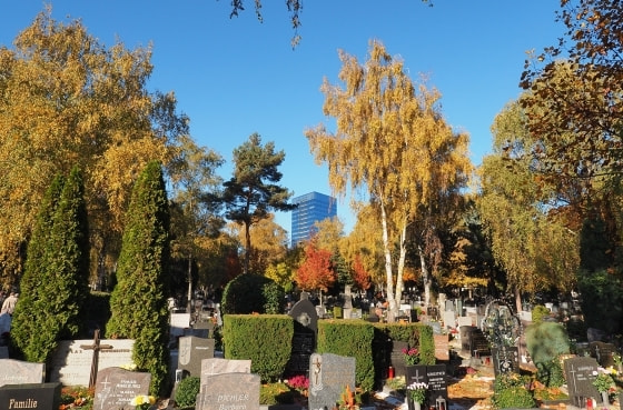 St. Barbara Friedhof Linz
