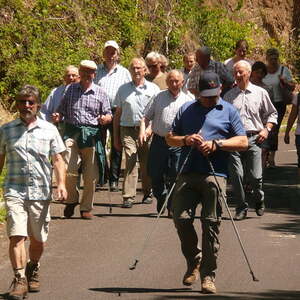 Fußwallfahrt Maria Pötsch