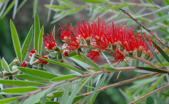Augustsammlung der Caritas