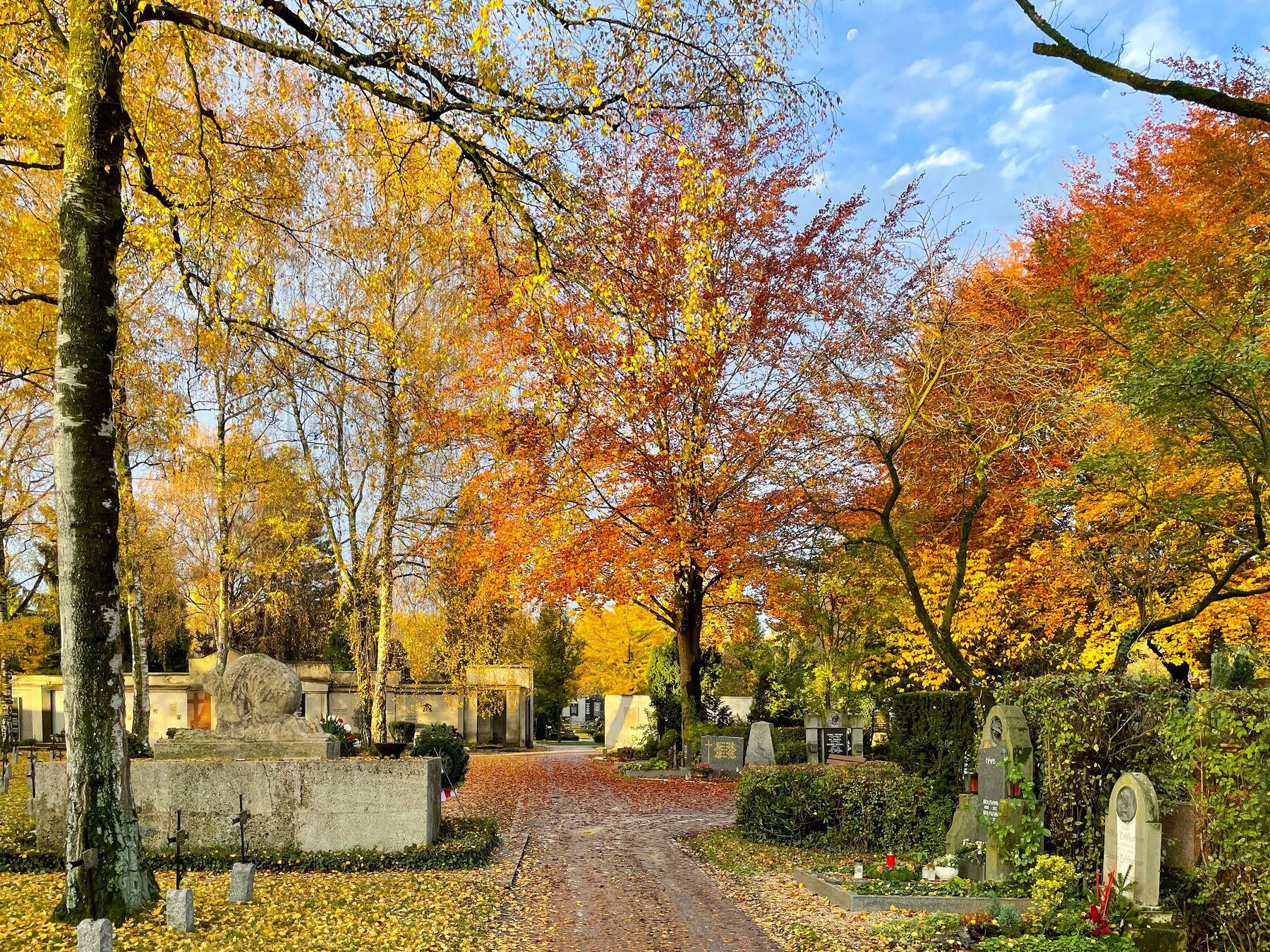 Herbst am St. Barbara Friedhof / © St. Barbara Friedhof / Clemens Frauscher St. Barbara Friedhof