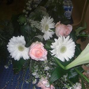 Vortrag über Tripolis