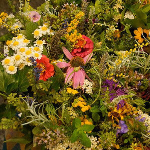 Kräuterweihe zu Maria Himmelfahrt