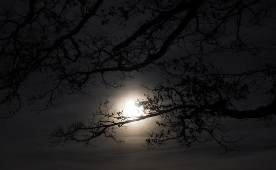 Lange Nacht der Kirchen