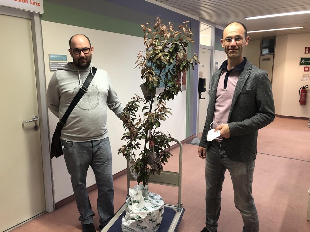 Johannes Ebner (links am Bild) mit Abteilungsleiter Wolfgang Schönleitner beim Abschied von der KMB mit einem Obstbäumchen
