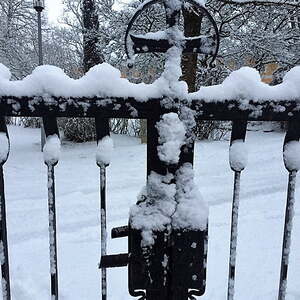 Dörnbach's Sternsinger 2019