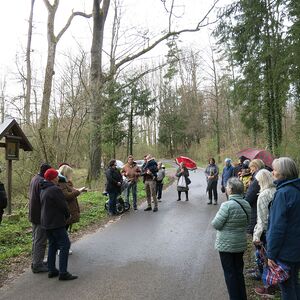 Kreuzweg am Schiltenberg
