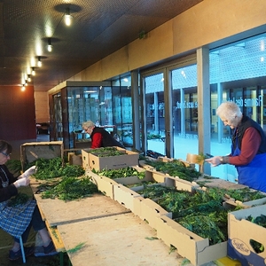 OLYMPUS DIGITAL CAMERA         