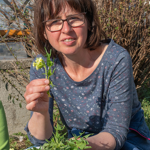 Heilsame Kräuter mit Silvia Buchegger