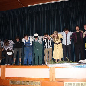 Almrausch am Froschberg