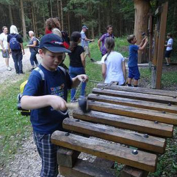 Naturerlebnisweg Pfarrwald Vöcklabruck