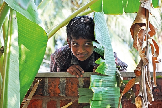 Indischer Junge unter Palmen 