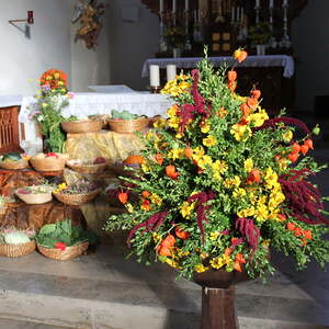 Pfarre Neumarkt im Mühlkreis