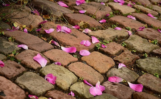 Lebensweg mit Gottes Segen gehen