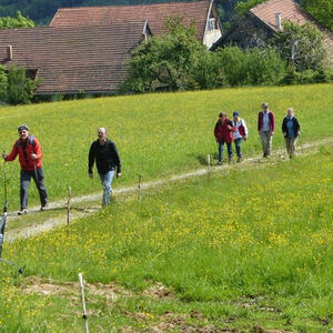 Fußwallfahrt Maria Schmolln 2014