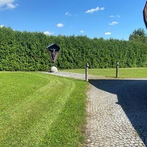 Vorher: Magere Wiese durch gründliches Mähen durch die Gemeinde.