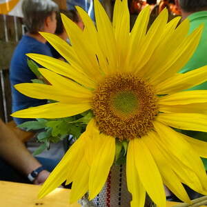 Feldmesse FF Feuerwehr Trosselsdorf, Pfarre Neumarkt im Mühlkreis