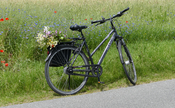 Ausflug ins Grüne mit dem Fahrrad