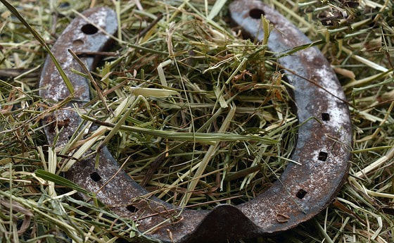 'Machen wir uns gemeinsam auf die Suche nach einem guten Leben!'