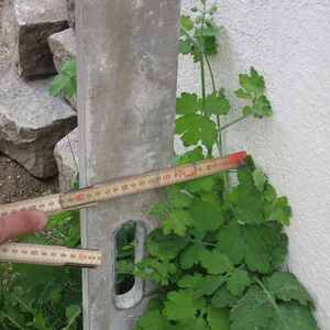 Sanierung schreitet voran