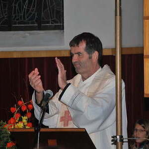 Das Fest des hl. Martin