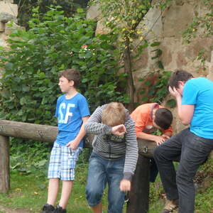 Pfarre Neumarkt im Mühlkreis