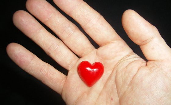 SAMSUNG DIGITAL CAMERA