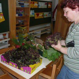 Kindergarten Ostermarkt