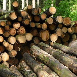 Firmvorbereitung und Firmung