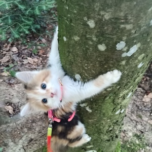 Fotowettbewerb Pfarre Ennstal