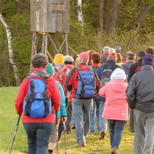 Meditative Pilgerwanderung