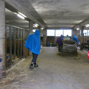 Pilgern Schlierbach-Klaus