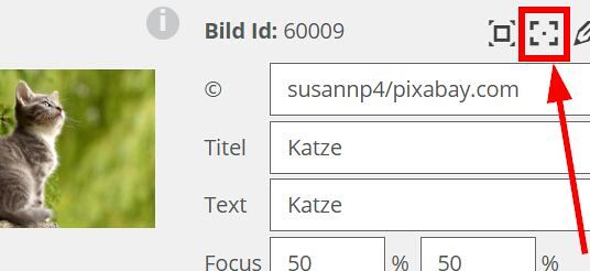Fokus Punkt Schaltfläche