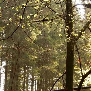 Meditative Pilgerwanderung