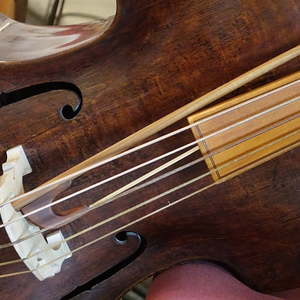 Violone