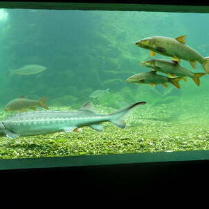 Ministrantenausflug 2018